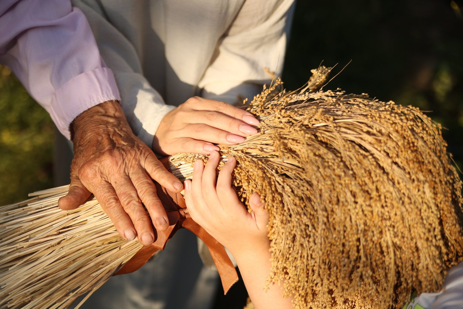 9R4A1010 — копия